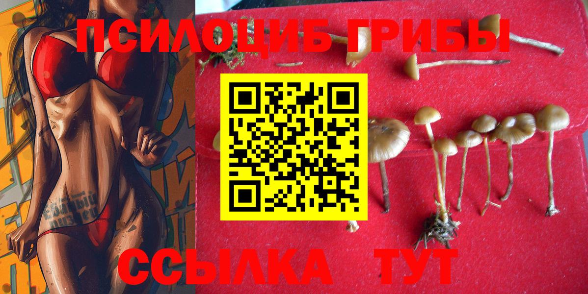 Галлюциногенные грибы Cubensis Партизанск
